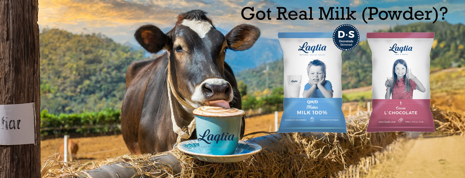 Laqtia real milk powder with a prepared coffee cup